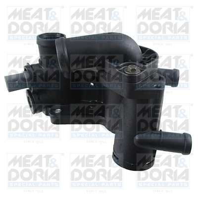 Thermostat, coolant